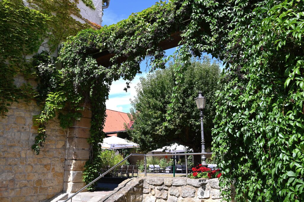Die Terrase des Hofguts Wißberg - das Weinberghotel an der Hiwweltour